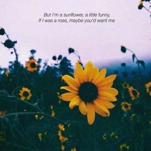 Meet your Posher, Hailey